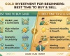 Gold investment for beginners: best time to buy &..